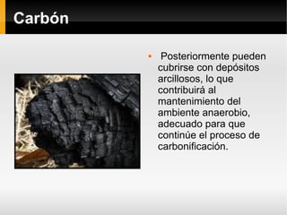 Carbón Posteriormente pueden cubrirse con depósitos arcillosos, lo que contribuirá al mantenimiento del ambiente anaerobio, adecuado para que continúe el proceso de carbonificación.   
