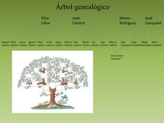 Árbol genealógico
Elisa
Ulloa
Juan
Calistro
Nieves
Rodríguez
José
Llanquilef
Juana
Calistro
Edith
Calistro
Margot
Calistro
Marina
Calistro
Silvia
Calistro
Omar
Calistro
Jorge
Calistro
Marvin
Calistro
José
Calistro
Danilo
Calistro
Luis
Calistro
Juan
Calistro
Ignacio
Calistro
José
Llanquilef
(Yo) Esteban
Llanquilef
Hugo
Llanquilef
Sergio
Llanquilef
Berta
Llanquilef
 