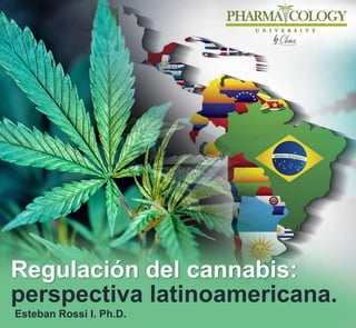 Regulación del cannabis:
perspectiva latinoamericana.
Esteban Rossi I. Ph.D.
 