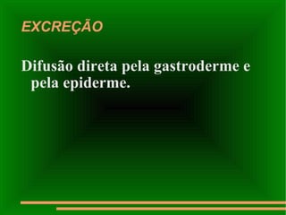 EXCREÇÃO Difusão direta pela gastroderme e pela epiderme. 