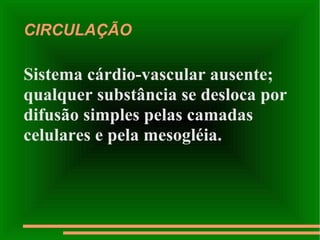 CIRCULAÇÃO Sistema cárdio-vascular ausente; qualquer substância se desloca por difusão simples pelas camadas celulares e pela mesogléia.  