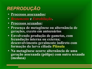 REPRODUÇÃO Processos assexuados :  Brotamento  e  Estrobilação . Processos sexuados : Presença de metagênese ou alternância de gerações, exceto em antozoários  Envolvendo produção de gametas, com fecundação interna ou externa; desenvolvimento geralmente indireto com formação da larva ciliada  Plânula Na metagênese ocorre alternância de uma geração assexuada (pólipo) com outra sexuada (medusa) 