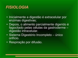 FISIOLOGIA <ul><li>Inicialmente a digestão é extracelular por enzimas digestivas; </li></ul><ul><li>Depois, o alimento par...