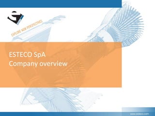 ESTECO SpA
Company overview
 