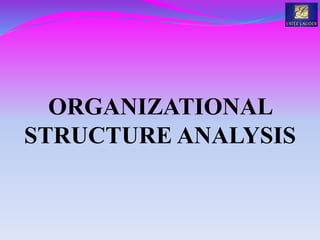ORGANIZATIONAL
STRUCTURE ANALYSIS
 