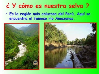 ¿ Y cómo es nuestra selva ?
• Es la región más calurosa del Perú. Aquí se
  encuentra el famoso río Amazonas.
 