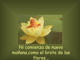 Ni comienza de nuevo mañana,como el brote de las flores...