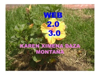 WEB
2.0
3.0
KAREN XIMENA DAZA
MONTAÑA
 