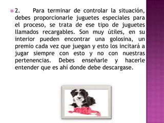  2.

Para terminar de controlar la situación,
debes proporcionarle juguetes especiales para
el proceso, se trata de ese tipo de juguetes
llamados recargables. Son muy útiles, en su
interior pueden encontrar una golosina, un
premio cada vez que juegan y esto los incitará a
jugar siempre con esto y no con nuestras
pertenencias. Debes enseñarle y hacerle
entender que es ahí donde debe descargase.

 
