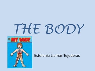 THE BODY Estefanía Llamas Tejederas 