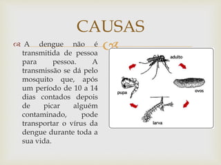  A dengue não é
transmitida de pessoa
para pessoa. A
transmissão se dá pelo
mosquito que, após
um período de 10 a 14
dias contados depois
de picar alguém
contaminado, pode
transportar o vírus da
dengue durante toda a
sua vida.
CAUSAS
 