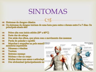 
SINTOMAS
 