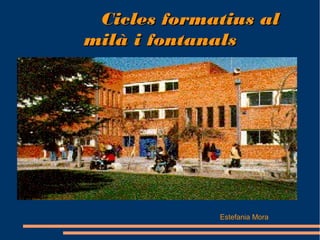 Cicles formatius al
milà i fontanals




             Estefania Mora
 