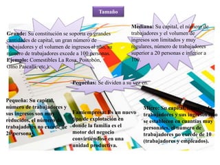 Tamaño
Grande: Su constitución se soporta en grandes
cantidades de capital, un gran número de
trabajadores y el volumen de ingresos al año, su
número de trabajadores excede a 100 personas.
Ejemplo: Comestibles La Rosa, Postobón,
Gino Pascalli, etc.).
Mediana: Su capital, el número de
trabajadores y el volumen de
ingresos son limitados y muy
regulares, número de trabajadores
superior a 20 personas e inferior a
100.
Pequeñas: Se dividen a su vez en.
Pequeña: Su capital,
número de trabajadores y
sus ingresos son muy
reducidos, el número de
trabajadores no excede de
20 personas.
Micro: Su capital, número de
trabajadores y sus ingresos solo
se establecen en cuantías muy
personales, el número de
trabajadores no excede de 10
(trabajadores y empleados).
Famiempresa: Es un nuevo
tipo de explotación en
donde la familia es el
motor del negocio
convirtiéndose en una
unidad productiva.
 
