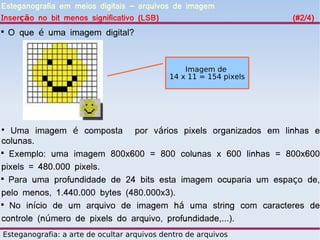 Esteganografia em meios digitais – arquivos de imagem
Inserção no bit menos significativo (LSB)                           (#2/4)

    O que é uma imagem digital?



                                                 Imagem de
                                             14 x 11 = 154 pixels




●
   Uma imagem é composta por vários pixels organizados em linhas e
colunas.

  Exemplo: uma imagem 800x600 = 800 colunas x 600 linhas = 800x600
pixels = 480.000 pixels.

  Para uma profundidade de 24 bits esta imagem ocuparia um espaço de,
pelo menos, 1.440.000 bytes (480.000x3).

  No início de um arquivo de imagem há uma string com caracteres de
controle (número de pixels do arquivo, profundidade,...).
Esteganografia: a arte de ocultar arquivos dentro de arquivos
 