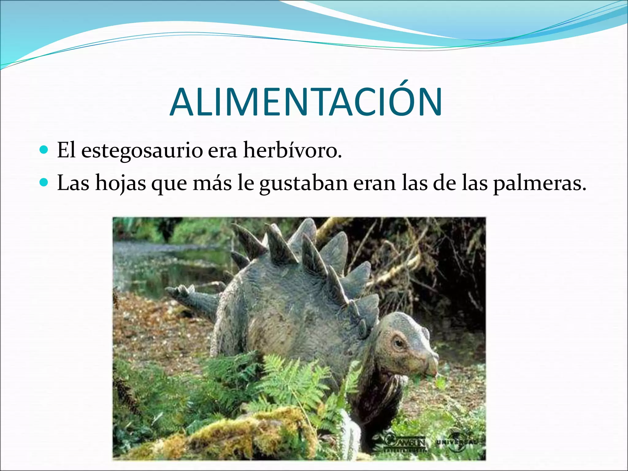 ALIMENTACIÓN
El estegosaurio era herbívoro.
Las hojas que más le gustaban eran las de las palmeras.