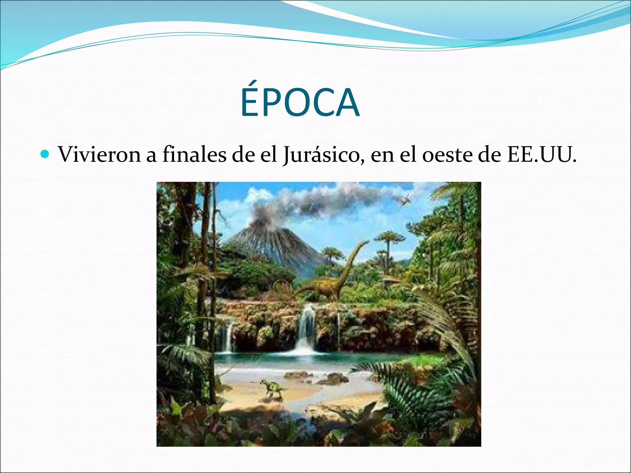 ÉPOCA
Vivieron a finales de el Jurásico, en el oeste de EE.UU.