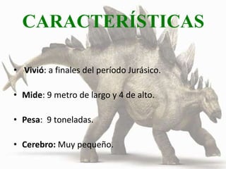 CARACTERÍSTICAS
• Vivió: a finales del período Jurásico.
• Mide: 9 metro de largo y 4 de alto.
• Pesa: 9 toneladas.
• Cerebro: Muy pequeño.
 