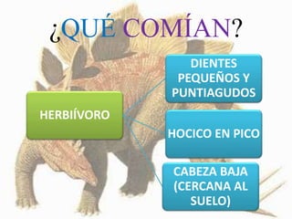 ¿QUÉ COMÍAN?
HERBIÍVORO
DIENTES
PEQUEÑOS Y
PUNTIAGUDOS
HOCICO EN PICO
CABEZA BAJA
(CERCANA AL
SUELO)
 