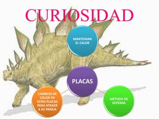 CURIOSIDAD
PLACAS
MANTENIAN
EL CALOR
MÉTODO DE
DEFENSA
CAMBIOS DE
COLOR EN
ESTAS PLACAS
PARA ATRAER
A SU PAREJA
 