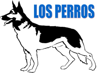 LOS PERROS 