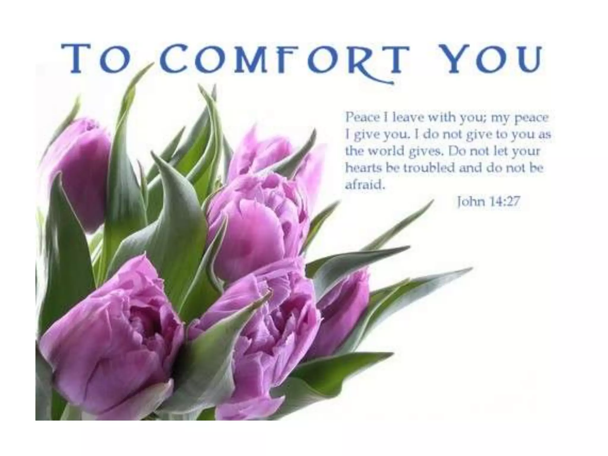 Estela Pacio Duclayan Treasured Moments