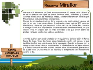 ReservaMiraflorUbicada a 30 kilómetros de Estelí aproximadamente. El parque mide 254 km² y en él se aprecian tres tipos de climas distintos: seco, intermedio y húmedo. Además de las zonas de naturaleza intacta, Miraflor está también habitada por finqueros que cultivan granos y crían ganado. Uno de los principales atractivos de la reserva es su biodiversidad. La zona es una de las más ricas en orquídeas. Actualmente existen más de 200 especies identificadas, entre las que predomina la flor nacional de Costa Rica, llamada CatteleyaSkinniri. Las orquídeas de Miraflor crecen en diferentes medios, las que crecen sobre los árboles son las más conocidas y las que crecen sobre las piedras y el suelo son las más vistosas y extrañas. Además, cuentan con guías turísticos que lo ayudarán a conocer sobre la flora y fauna del lugar. Todas las fincas están localizadas dentro del parque, lo que también significa que estará cerca de la naturaleza. Cuando se levante con el alba y el canto de los pájaros, experimentará la diferencia entre las áreas urbanas y el rústico campo de Miraflor. El clima también es un poco diferente, por la altitud se puede poner un poco frío por las noches y la temperatura sube rápidamente durante el día. DATOS GENERALESMIRAFLOR
