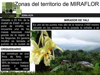 Zonas del territorio de MIRAFLOR                                    ZONA ALTAMIRADOR DE YALIUbicada a 29 Km. de la ciudad de Estelí. en esta parte de miraflor, se encuentra una de las masas boscosas más grande de la región de las Segovias. En general miraflor es llamada el pulmón de la ciudad de Estelí por ser uno de las pocas áreas del país que se conserva de tal manera.Es uno de los puntos más alto de la reserva (1450 msnm) ubicado en los senderos de la posada la soñada, y se localiza en medio de una pequeña masa boscosa.ZON ALTAORQUIDEARIOSe constituye de una finca de 6mz, con aproximadamente50% de bosque maduro abierto y bosque cerrado de neblí selva, el resto es área despejada para actividades agrícolas.