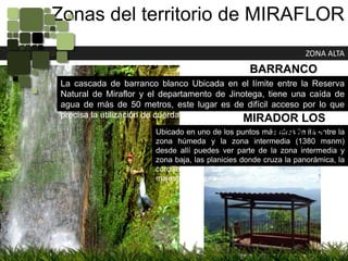 Zonas del territorio de MIRAFLORZONA ALTABARRANCO BLANCOLa cascada de barranco blanco Ubicada en el límite entre la Reserva Natural de Miraflor y el departamento de Jinotega, tiene una caída de agua de más de 50 metros, este lugar es de difícil acceso por lo que precisa la utilización de cuerdas para bajar hasta la cascada.MIRADOR LOS APANTESUbicado en uno de los puntos más altos limita entre la zona húmeda y la zona intermedia (1380 msnm) desde allí puedes ver parte de la zona intermedia y zona baja, las planicies donde cruza la panorámica, la cordillera de los maribios del occidente y la majestuosa figura del volcán San Cristóbal.