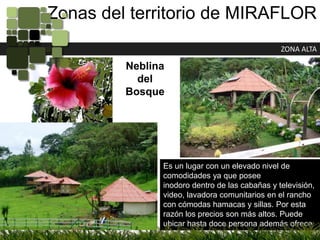 Zonas del territorio de MIRAFLORZONA ALTANeblina del BosqueEs un lugar con un elevado nivel de comodidades ya que poseeinodoro dentro de las cabañas y televisión, video, lavadora comunitarios en el rancho con cómodas hamacas y sillas. Por esta razón los precios son más altos. Puede ubicar hasta doce persona además ofrece un espacio para acampar.