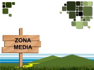 ZONAMEDIA