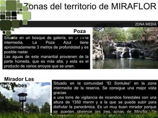 Zonas del territorio de MIRAFLORZONA MEDIAPoza AzulSituada en un bosque de galería, en la zona intermedia. La Poza Azul tiene aproximadamente 3 metros de profundidad y es posible nadar.Las aguas de este manantial provienen de la parte húmeda, que es más alta, y esta es el producto de varios arroyos que se unen.El acceso es a través del bosque, donde se pueden observar aves, bromelias, orquídeas.Mirador Las NubesSituado en la comunidad “El Sontules” en la zona intermedia de la reserva. Se consigue una mejor vista graciasa una torre de vigilancia de incendios forestales con una altura de 1350 msnm y a la que se puede subir para disfrutar la panorámica. Es un muy buen mirador porque se pueden observar las tres zonas de Miraflor. Se distinguen pueblos próximos a Estelí, el Cerro Somoto, la ubicación de Las Cuevas Apagüís y las comunidades del Coyolito, la Pita, el Terrero y San José