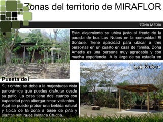 Zonas del territorio de MIRAFLORZONA MEDIAEste alojamiento se ubica justo al frente de la parada de bus Las Nubes en la comunidad El Sontule. Tiene apacidad para ubicar a tres personas en un cuarto en casa de familia. Doña Amada es una persona muy agradable y con mucha experiencia. A lo largo de su estadía en esta casa podrías disfrutar de los cuentos sobre la histórica de la zona en los tiempos de la revolución.Las NubesPuesta del SolSu nombre se debe a la majestuosa vista panorámica que puedes disfrutar desde su patio. La casa tiene dos cuartos con capacidad para albergar cinco visitantes.Aquí se puede probar una bebida natural y típica de la zona a base de piña y plantas naturales llamada Chicha.Por las tardes puedes subir al cerro que se encuentra muy cerca para contemplar una increíble puesta del sol.