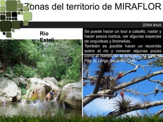 Zonas del territorio de MIRAFLORZONA BAJASe puede hacer un tour a caballo, nadar y hacer pesca rústica, ver algunas especies de orquídeas y bromelias.También es posible hacer un recorrido sobre el río y conocer algunas pozas como el Remolino, el Ahogado, la Lata, la Pila, la Larga, poza del Café.Rio Estelí
