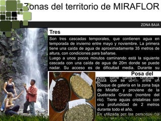Zonas del territorio de MIRAFLORZONA BAJATres CascadasSon tres cascadas temporales, que contienen agua en temporada de invierno entre mayo y noviembre. La primera tiene una caída de agua de aproximadamente 35 metros de altura, con condiciones para bañarse.Luego a unos pocos minutos caminando está la siguiente cascada con una caída de agua de 20m donde se puede nadar. Su acceso es de dificultad media. Durante su  recorrido se pueden observar aves con mucho colorido como el guardabarranco, tragones, corre camino, urracas y algunas especies de reptiles.Posa del CaféPoza que se ubica entre un bosque de galería en la zona baja de Miraflor y proviene de la Quebrada Grande (nombre del río). Tiene aguas cristalinas con una profundidad de 2 metros durante todo el año.Es utilizada por las personas del lugar como sitio de recreación familiar durante las fiestas religiosas (Semana Santa).