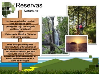 Reservas          NaturalesLas áreas naturales que han sido declarado como protegidas bajo la categoría de Reserva Natural: Tisey–Estanzuela, Miraflor, Tomabú y el cerro Quiabú.Estas áreas poseen riquezas naturales, fauna y flora diversa, el escenario paisajístico demuestra un alto potencial turístico, por esta razón , las áreas o reservas naturales de Estelí, representan un amplio patrimonio natural en el norte de Nicaragua