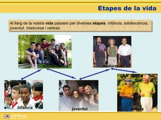 Etapes de la vida  Al llarg de la nostra  vida  passem per diverses  etapes :  infància, adolescència, joventut, maduresa i vellesa. infància joventut maduresa vellesa adolescència 