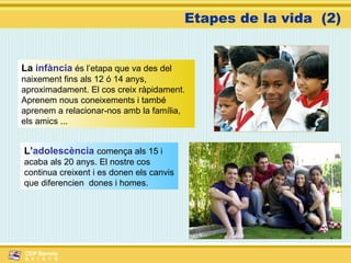 La  infància  és l’etapa que va des del naixement fins als 12 ó 14 anys, aproximadament. El cos creix ràpidament. Aprenem nous coneixements i també aprenem a relacionar-nos amb la família, els amics ... L’ adolescència  comença als 15 i acaba als 20 anys. El nostre cos continua creixent i es donen els canvis que diferencien  dones i homes. Etapes de la vida  (2) 