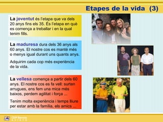 La  joventut  és l’etapa que va dels 20 anys fins els 35. És l’etapa en què es comença a treballar i en la qual tenim fills. La  maduresa  dura dels 36 anys als 60 anys. El nostre cos es manté més o menys igual durant uns quants anys.  Adquirim cada cop més experiència de la vida. Etapes de la vida  (3) La  vellesa  comença a partir dels 60 anys. El nostre cos es fa vell: surten arrugues, ens fem una mica més baixos, perdem agilitat i força ... Tenim molta experiència i temps lliure per estar amb la família, els amics ... 