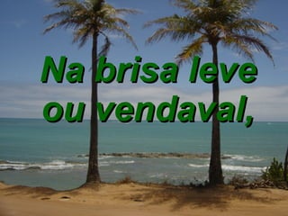 Na brisa leve ou vendaval, 