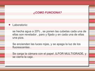 ¿COMO FUNCIONA?



   Laboratorio:

    se hecha agua a 20ºc , se ponen las cubetas cada una de
    ellas son revelador , paro y fijado y en cada una de ellas
    una piza.

    Se encienden las luces rojas, y se apaga la luz de los
    fluorescentes .

    Se carga la cámara con el papel ,ILFOR MULTIGRADE, y
    se cierra la caja .
 