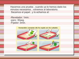Hacemos una prueba , cuando ya le hemos dado los
minutos necesarios , volvemos al laboratorio.
Sacamos el papel , y lo echamos al:

-Revelador: 1min.
-paro: 30seg.
-Fijador: 3min.
 