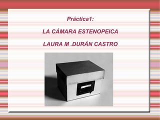 Práctica1:

LA CÁMARA ESTENOPEICA

LAURA M .DURÁN CASTRO
 