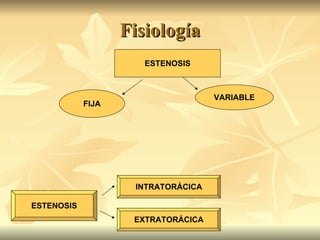 Fisiología ESTENOSIS FIJA VARIABLE INTRATORÁCICA EXTRATORÁCICA ESTENOSIS 