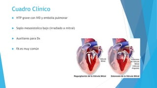 Cuadro Clínico 
 HTP grave con IVD y embolia pulmonar 
 Soplo mesosistolico bajo (irradiado a mitral) 
 Auxiliares para Dx 
 FA es muy común 
 