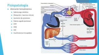 Fisiopatología 
 Alteración hemodinámica 
 Sobrecarga sistólica 
 Dilatación ( barrera mitral) 
 Aumento de presiones 
 Edema agudo pulmonar 
 HTP 
 HVD 
 IVD 
 Insuficiencia tricuspídea 
 