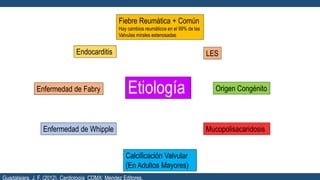Etiología
Fiebre Reumática + Común
Hay cambios reumáticos en el 99% de las
Valvulas mirales estenosadas
Calcificación Valvular
(En Adultos Mayores)
Endocarditis
Enfermedad de Fabry
Enfermedad de Whipple Mucopolisacaridosis
LES
Origen Congénito
Guadalajara, J. F. (2012). Cardiología. CDMX: Mendez Editores.
 