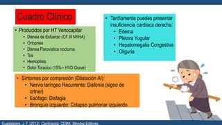 Cuadro Clínico
• Producidos por HT Venocapilar
• Disnea de Esfuerzo (CF III NYHA)
• Ortopnea
• Disnea Paroxística nocturna
• Tos
• Hemoptisis
• Dolor Toracico (15%-- HVD Grave)
• Tardíamente puedes presentar
insuficiencia cardiaca derecha:
• Edema
• Plétora Yugular
• Hepatomegalia Congestiva
• Oliguria
• Síntomas por compresión (Dilatación AI):
• Nervio laríngeo Recurrente: Disfonía (signo de
ortner)
• Esófago: Disfagia
• Bronquio izquierdo: Colapso pulmonar izquierdo
Guadalajara, J. F. (2012). Cardiología. CDMX: Mendez Editores.
 