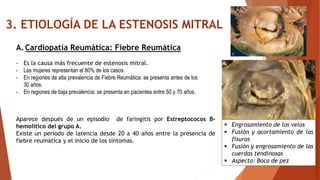 3. ETIOLOGÍA DE LA ESTENOSIS MITRAL
A.Cardiopatía Reumática: Fiebre Reumática
- Es la causa más frecuente de estenosis mit...