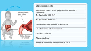 Estenosis Pilorica.pptx